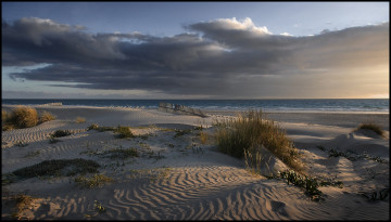 Картинка природа побережье облака океан горизонт дюны песок пляж