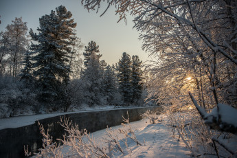 Картинка природа зима лес река