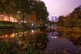 Картинка города нью-йорк+ сша парк