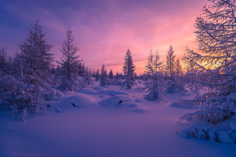 Картинка природа зима снег деревья сугробы закат