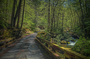 Картинка природа дороги деревья дорога речка водопад лес