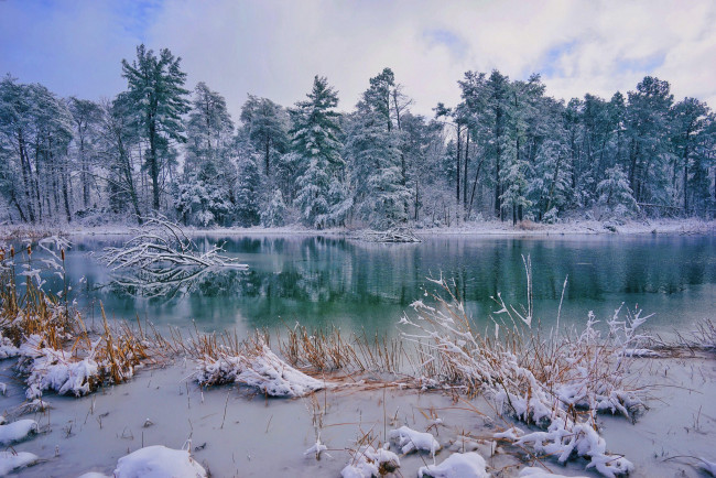 Обои картинки фото природа, реки, озера, зима, пейзаж, лес, деревья, озеро