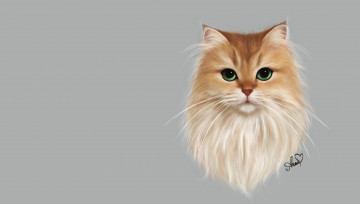Картинка рисованное животные +коты кошка anne novik кот пушистик арт smoothie cat
