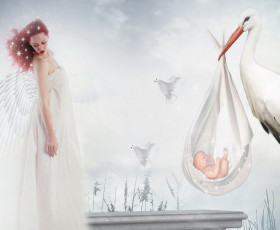 Картинка разное компьютерный+дизайн ангел крылья девушка аист младенец