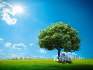 Картинка разное компьютерный+дизайн города солнце небо дерево трава