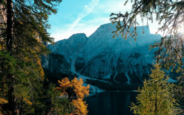 Картинка природа пейзажи деревья озеро гора