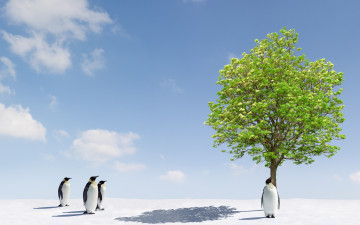 обоя разное, компьютерный дизайн, дерево, небо, пингвины