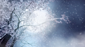 обоя рисованное, природа, дерево, цветение, снег