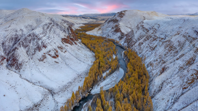 Обои картинки фото природа, зима, россия, ручьи, холодный, лед, алтайские, горы