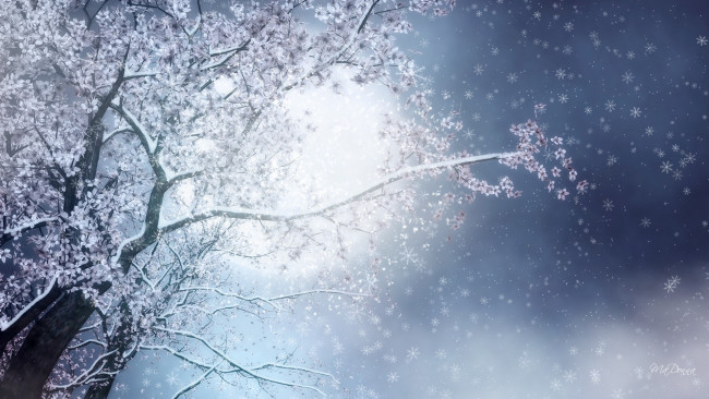 Обои картинки фото рисованное, природа, дерево, цветение, снег