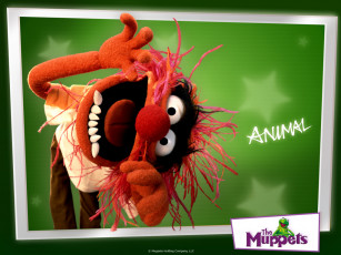 Картинка the muppets animal кино фильмы muppet show