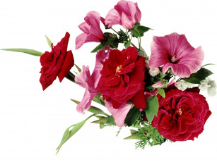 Картинка цветы букеты композиции лаватера розы