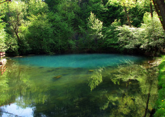 Картинка природа реки озера вода деревья бирюза