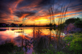 Картинка природа восходы закаты вода небо камыши ночь