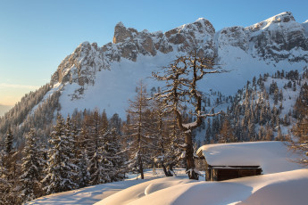 Картинка природа горы домик torsten muehlbacher photography альпы австрия снег зима лес