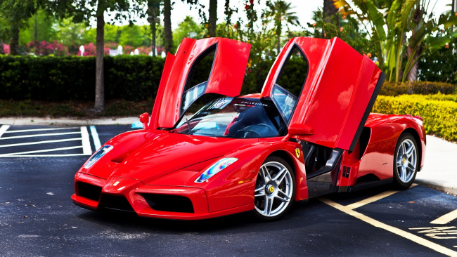 Обои картинки фото ferrari, enzo, автомобили, италия, спортивный