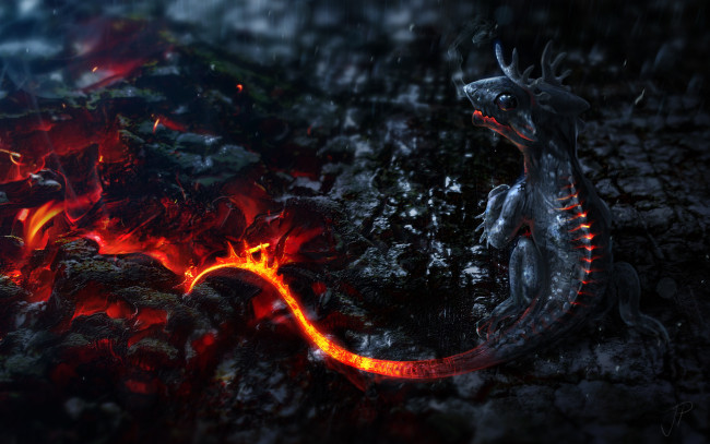 Обои картинки фото маленький, дракон, фэнтези, драконы, огонь, ночь, угли