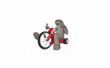 Картинка ленивец+на+велосипеде рисованные минимализм чупа чупс велосипед ленивец
