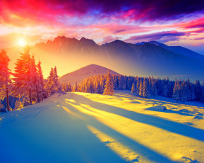 Картинка природа зима небо ели закат снег
