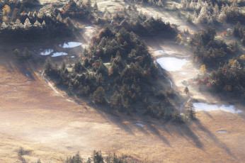 Картинка природа лес солнечно туман вода утро деревья вид сверху takaten