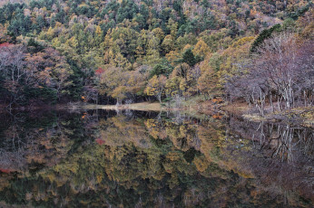 Картинка природа реки озера деревья вода отражение takaten осень утро