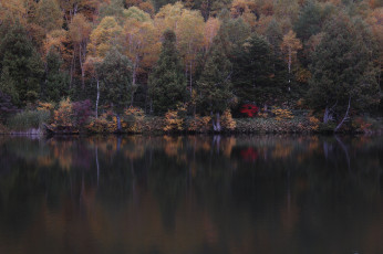 Картинка природа реки озера takaten осень утро деревья вода