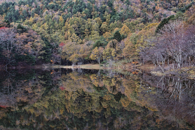 Обои картинки фото природа, реки, озера, деревья, вода, отражение, takaten, осень, утро