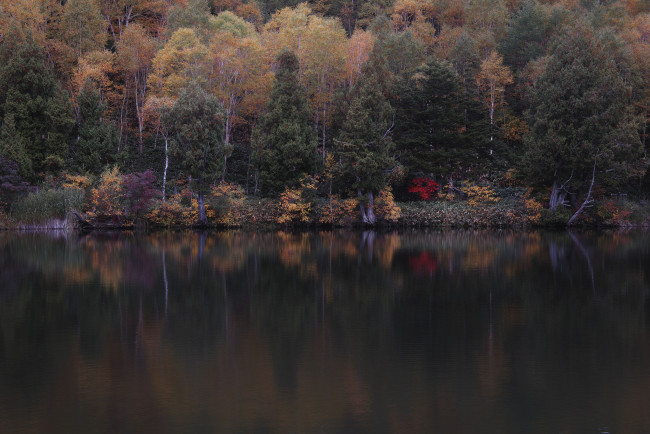 Обои картинки фото природа, реки, озера, takaten, осень, утро, деревья, вода