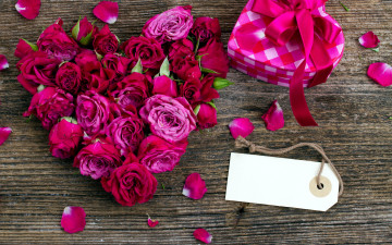 Картинка цветы розы лепестки розовый сердце