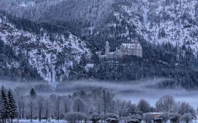 Обои картинки фото города, замки германии, снег, туман, зима, замок, нойшванштайн, бавария, германия, деревья, горы