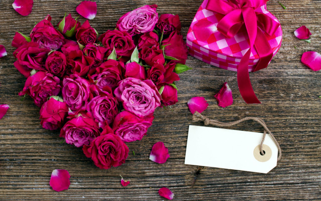 Обои картинки фото цветы, розы, лепестки, розовый, сердце