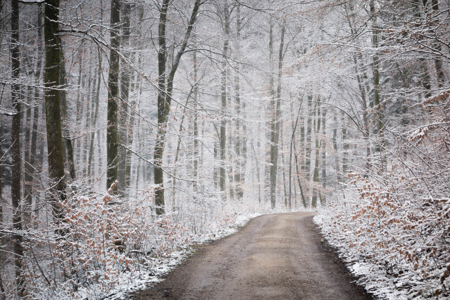 Обои картинки фото природа, дороги, снег, осень, дорога, лес
