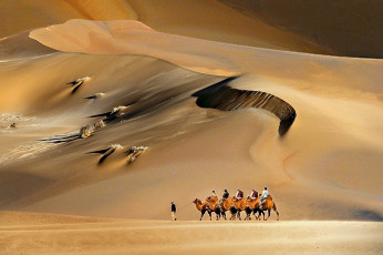 Картинка природа пустыни караван
