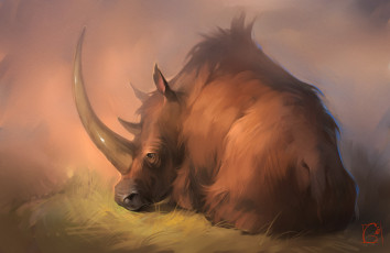 обоя рисованное, животные,  носороги, gaudibuendia