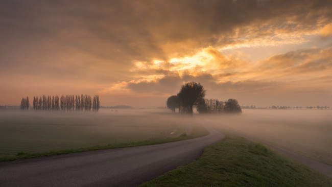 Обои картинки фото природа, дороги, закат, облака, дымка, небо, дорога, деревья, туман, вечер, поле