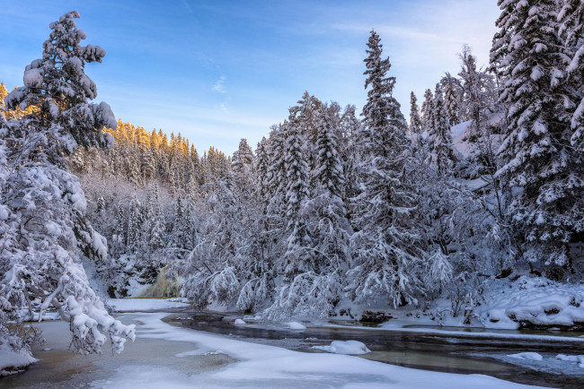 Обои картинки фото природа, реки, озера, норвегия, деревья, снег, зима, речка