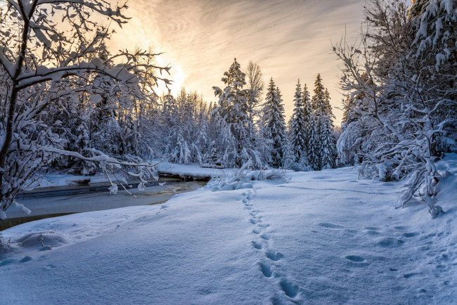 Обои картинки фото природа, зима, закат, речка, ручей, норвегия