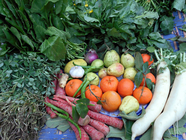 Обои картинки фото еда, фрукты и овощи вместе, груши, дайкон, мандарины