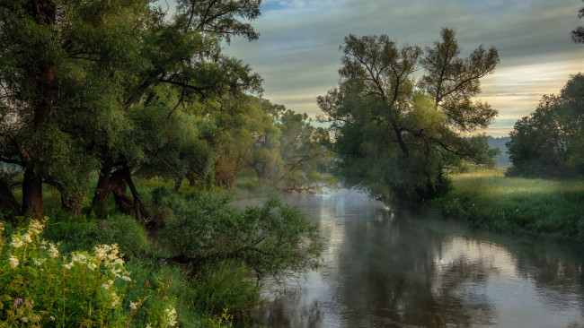 Обои картинки фото природа, реки, озера, красота, утро, деревья, река