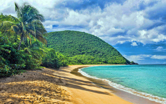 Обои картинки фото природа, тропики, пальма, пляж, море, гора