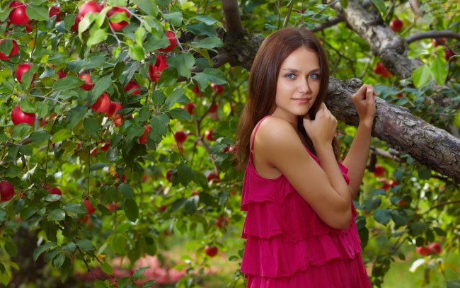 Обои картинки фото девушки, - брюнетки,  шатенки, сад, яблоня, шатенка, яблоки, платье, zlatka, a