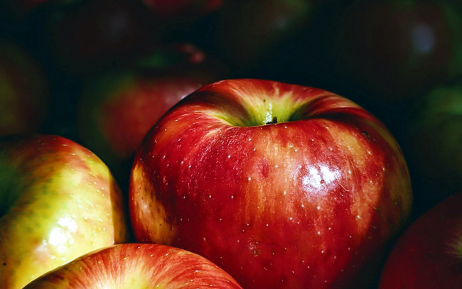 Обои картинки фото еда, яблоки, макро