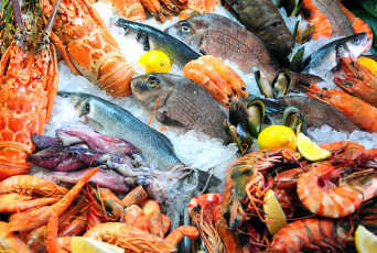 Картинка еда рыба +морепродукты +суши +роллы морепродукты свежие