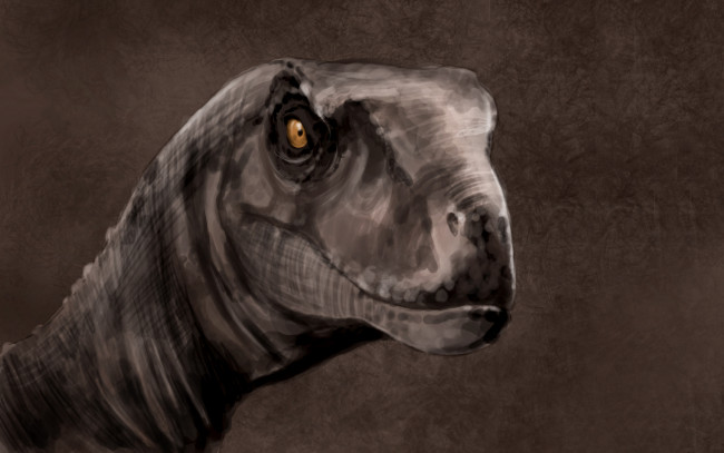 Обои картинки фото динозавр, рисованные, животные,  доисторические, морда, хищник