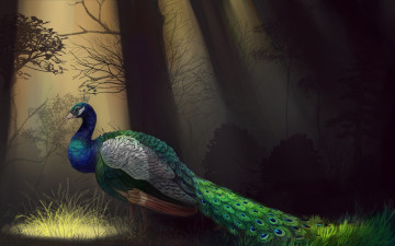 Картинка рисованное животные +птицы +павлины деревья профиль перья птица павлин