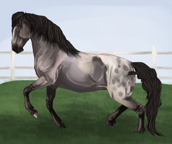 Обои картинки фото рисованное, животные,  лошади, фон, взгляд, лошадь