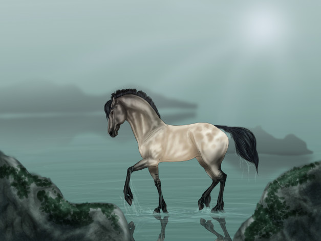 Обои картинки фото рисованное, животные,  лошади, взгляд, вода, фон, лошадь