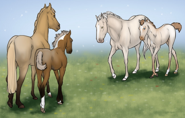 Обои картинки фото рисованное, животные,  лошади, лошади, взгляд, лошадки