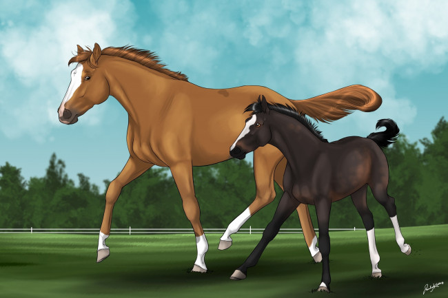 Обои картинки фото рисованное, животные,  лошади, лошадка, взгляд, лошадь