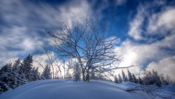 Картинка природа зима снег горы холмы деревья